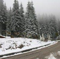 Ограничават движението на тежкотоварни автомобили по пътя Варна - Добрич, закъсали в снега коли затапиха шосето между две села