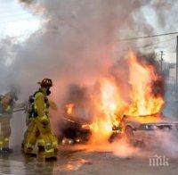 Пожар изпепели стая в Бургас