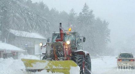 влекач превозиха границата бременна румънка роди силистра