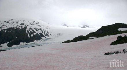 жълт код опасни валежи силен вятър обявен бургас