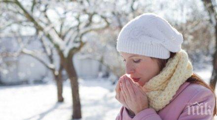 удължиха дървената ваканция шумен сряда