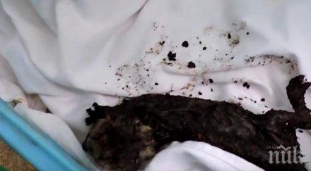 стържене вентилационната шахта намира