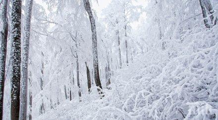 псс лоши условията туризъм планините висока опасността лавини