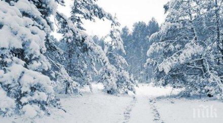 студено ветровито цяла македония