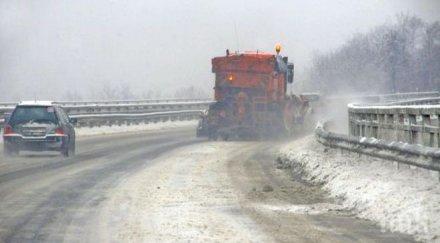 движат автобуси силистренско