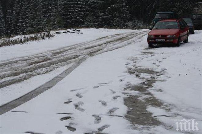 ТАСС: Червен код за опасност бе обявен в три области на България заради силния снеговалеж