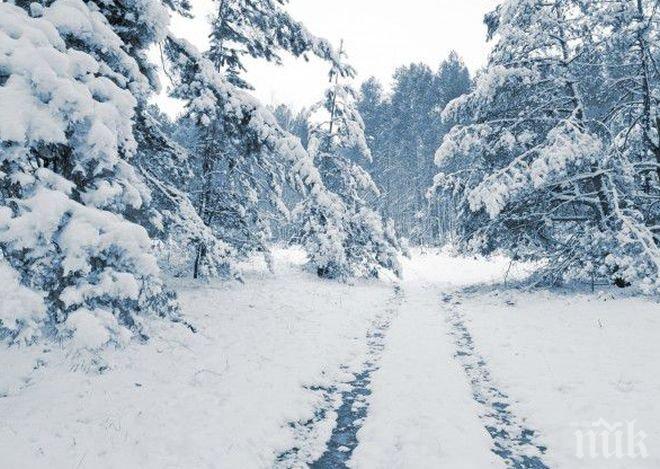 Синоптици от БАН алармират: Студ и снежни виелици обхващат страната! Живакът пада до минус 10°