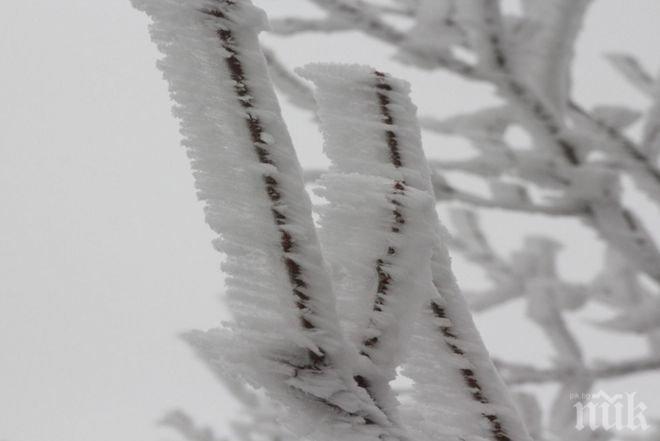 В  544 училища в страната е преустановен учебният процес