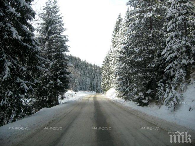 Поетапно започва пропускането на тежкотоварните МПС над 12 т през Прохода на Републиката и по път I-5 Бяла-Русе