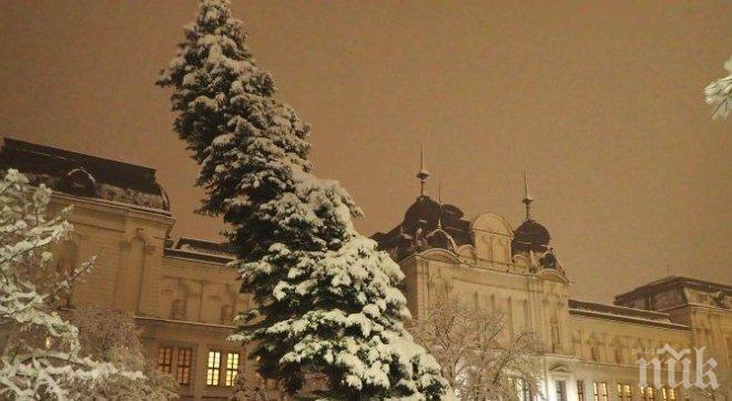 ХАОС! Снегът блокира София, пътищата са затрупани 