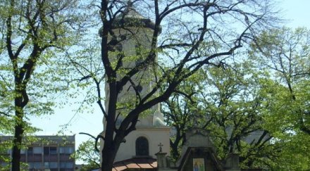 tълпа русе пипне чудотворна икона