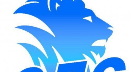 сдс декларация случай февруари