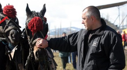 бойко разпуска езда аристократ