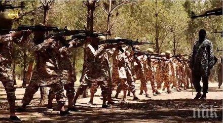 800 мирни граждани убити ирак началото 2014 година