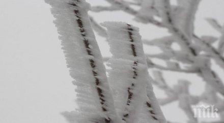 внимание снега идва студът сибирски мраз сковава страната градусите падат