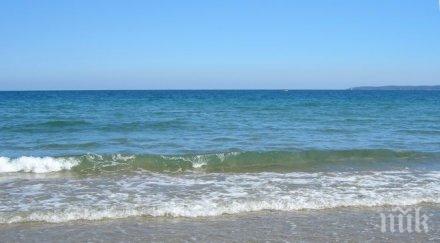 тревога пластмасовите боклуци океаните повече рибата 2050