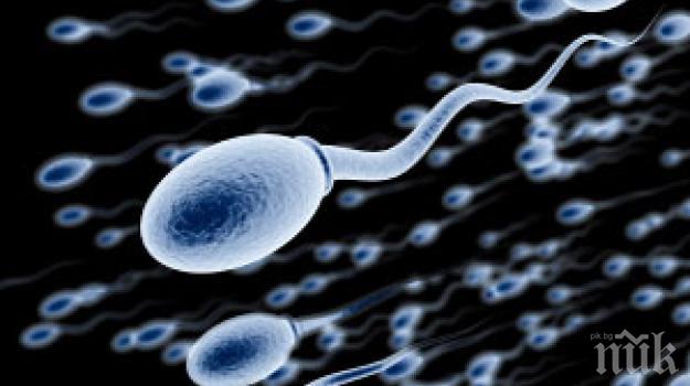 Миниатюрни моторчета ще помагат на бавно подвижни сперматозоиди