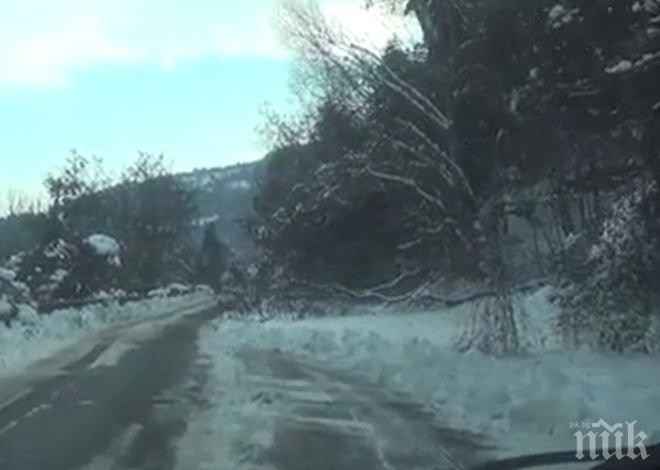 ПИК TV: Трети ден остава затворен пътят Бобошево-Невестино
