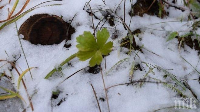 Дулово обяви бедствено положение