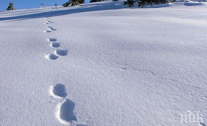Полиция залови крадец следвайки следите му в снега