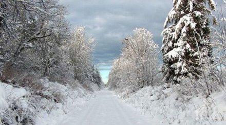 шест области украйна ограничения автомобилното движение