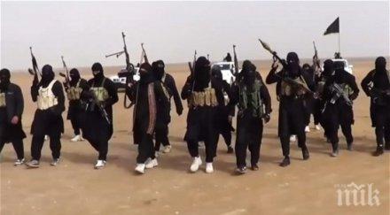 турски войски влязоха сирия