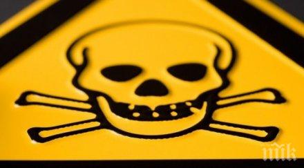 заради отровените кучета проверяват фирми растителна защита пловдив