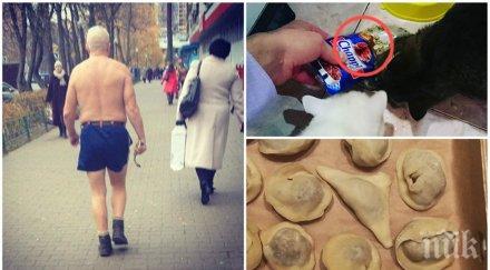 хора страхуват изправят системата