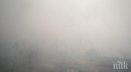 души обгазени пазарджик неизвестен газ