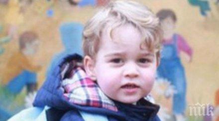 безумие искат такса дете ресторант стара загора