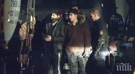 холандия бежанският поток съкрати седмици