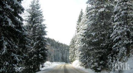 актуална пътна обстановка