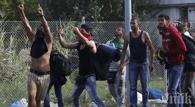 Германия е застрашена от 2 млн. мигранти през 2016 г. 