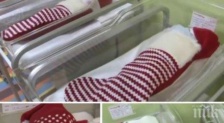 купуват наши бебета органи гърция разказа бивш участник престъпната схема