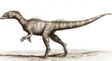 открито динозавърче 2013 млн години