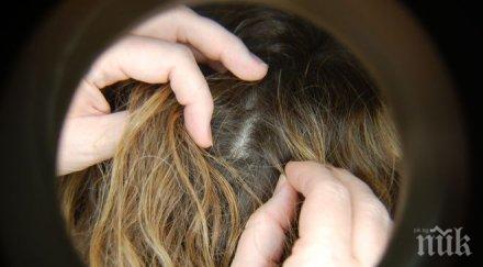 въшки налазиха бургаските денски градини