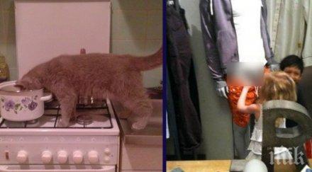 любопитството познава граници 100 смях