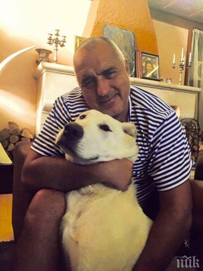 Белезници за Борисов. Бъчварова премиер. Плевнелиев с нов мандат. Лозан Панов министър. Костов депутат. Цветан Василев се връща оправдан. ТОВА НЕ Е АНТИУТОПИЯ