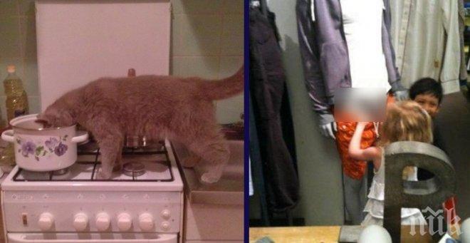 Любопитството им не познава граници! 100% смях!