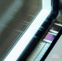 Разработиха самопочистващи се прозорци, вдъхновени от очите на нощните пеперуди