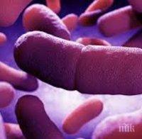  Чумата дебне Европа от неизвестни скривалища