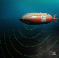 Изгубиха дълбоководен сонар в Индийския океан