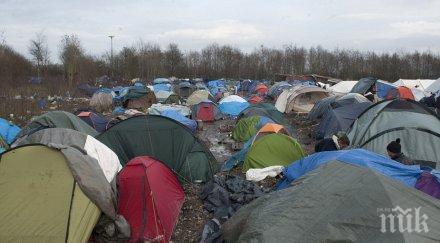 германия отказала бежански статут 2000 мигранти