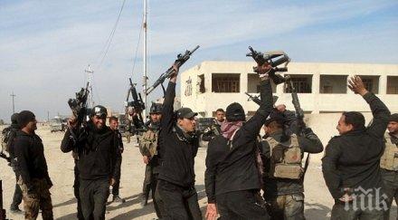 пегида планира проведе демонстрации ислямизацията европа държави