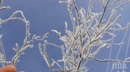 души починали заради рязко застудяване източна азия