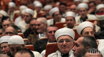 пик 976 делегати участват редовната национална мюсюлманска конференция софия