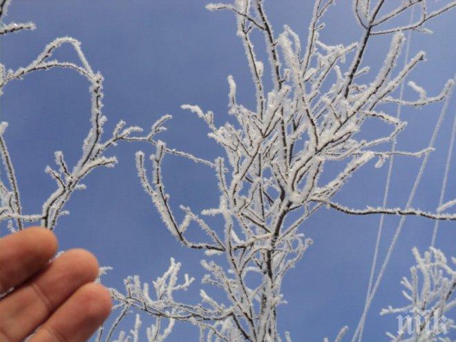 Най-малко 50 души са починали заради рязко застудяване в Източна Азия