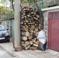 Кмет забрани цепенето на дърва вкъщи