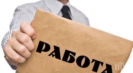 назначават 100 младежи работа община асеновград