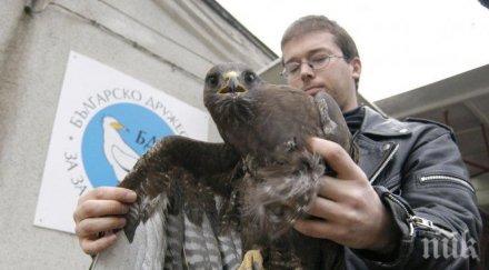 експерти риосв спасиха премръзнал мишелов